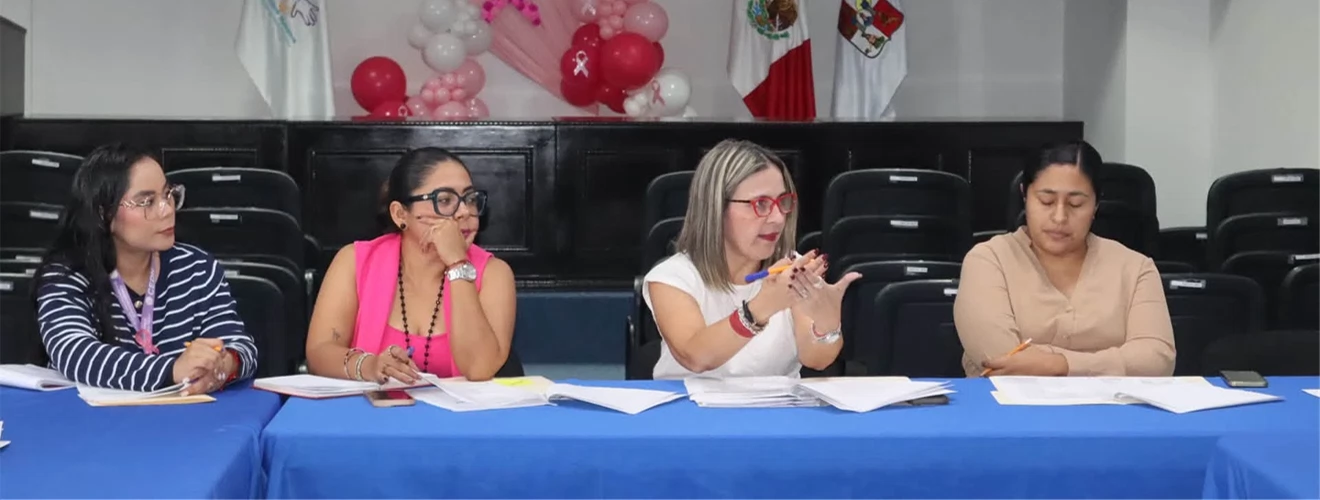 Se realizó la séptima reunión plenaria